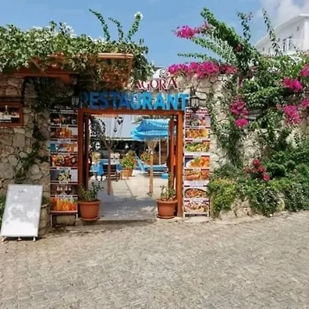 Nar 2 Kalkan
